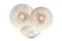 Hermia Vajilla de Porcelana de 24 Piezas Multicolor